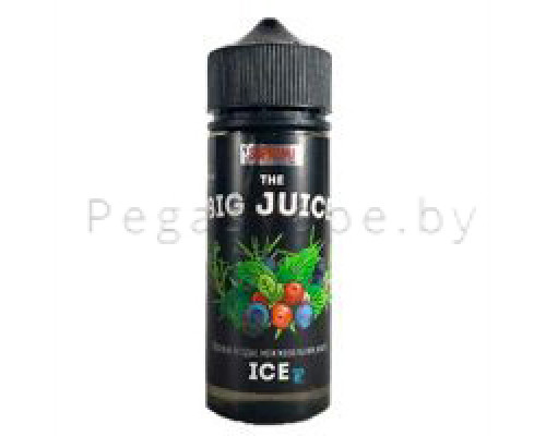 Жидкость для вейпа Big Juice - Лесные ягоды, можжевельник, мята (120 мл)